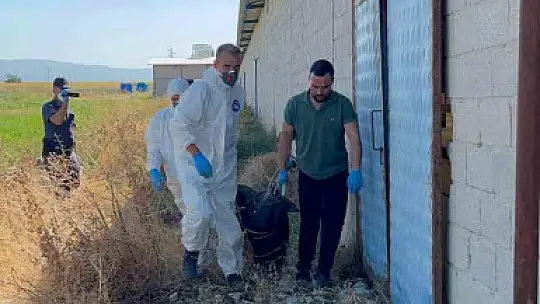 Dayısını öldürüp gömdü başında ağladı