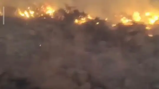 Develi'de ağaçlık alana yakın bölgede ot yangını