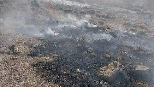 Develi'de anız yangını