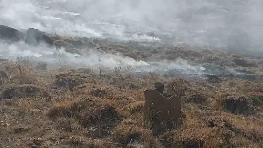 Develi'de anız yangını