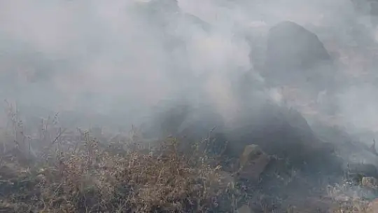 Develi'de anız yangını