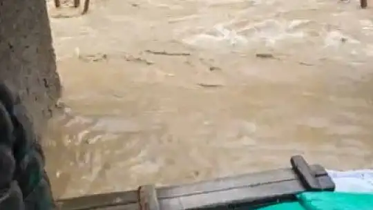 Develi'de aşırı yağış sele neden oldu, bazı ev ve ahırları su bastı