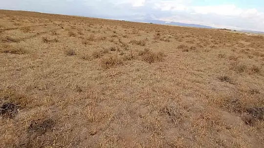 Develi'de yapılan mera ıslahı 33 çiftçi için umut oldu