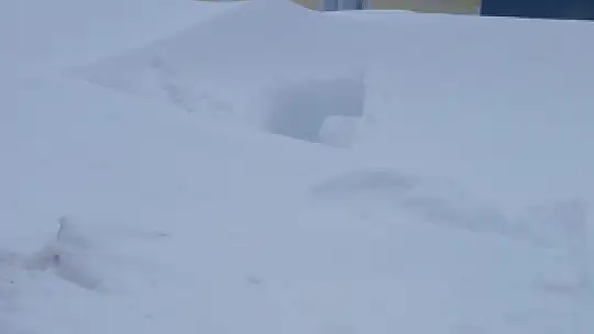 Develi ve Tomarza'da kar kalınlığı 50 santimi geçti, ahır çöktü