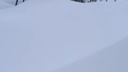 Develi ve Tomarza'da kar kalınlığı 50 santimi geçti, ahır çöktü