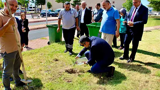 Devlet Hastanesi'nde ağaçlandırma seferberliği