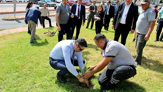 Devlet Hastanesi'nde ağaçlandırma seferberliği