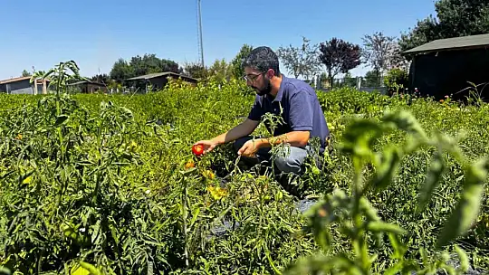Doğal Ürünler Bahçesi Pazarı, organik gıdayı vatandaşlara sunmaya devam ediyor