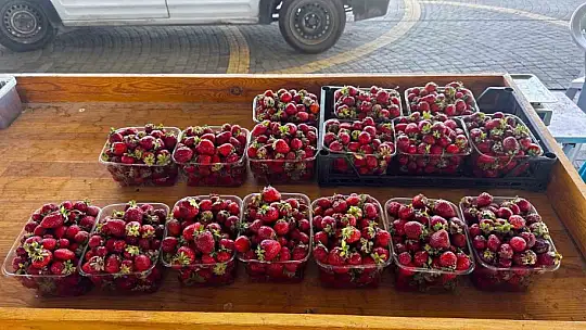 Doğal Ürünler Bahçesi Pazarı, organik gıdayı vatandaşlara sunmaya devam ediyor