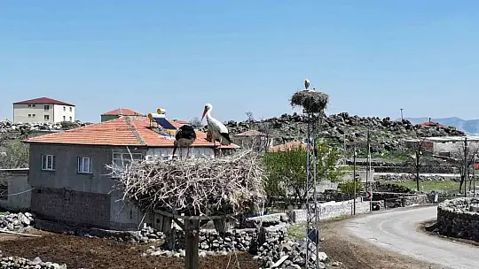 Doğanın uyanışı, Hürmetçi Sazlığı'nda sahneleniyor