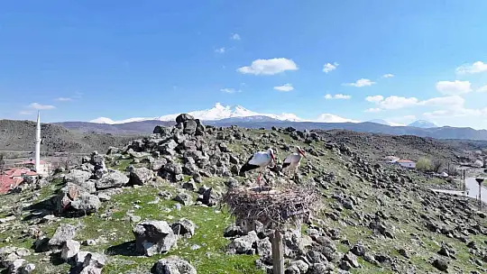 Doğanın uyanışı, Hürmetçi Sazlığı'nda sahneleniyor