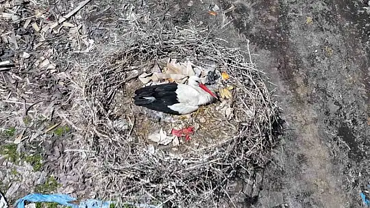 Doğanın uyanışı, Hürmetçi Sazlığı'nda sahneleniyor