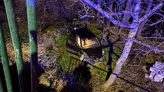 Ehliyetsiz sürücü 5 metrelik bahçe duvarından uçtu: 1 yaralı