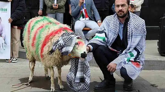 Elleriyle besleyip büyüttüğü kuzuyu Gazze'ye bağışladı