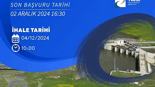 Enerji ve kimya sektöründe yeni yatırım fırsatı: RHG Enertürk Enerji, Muradiye Elektrik ve Form Sünger satışta