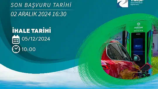 Enerji ve kimya sektöründe yeni yatırım fırsatı: RHG Enertürk Enerji, Muradiye Elektrik ve Form Sünger satışta
