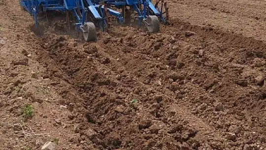 Erciyes'in eteklerinde kabak çekirdeği ekim sezonu başladı