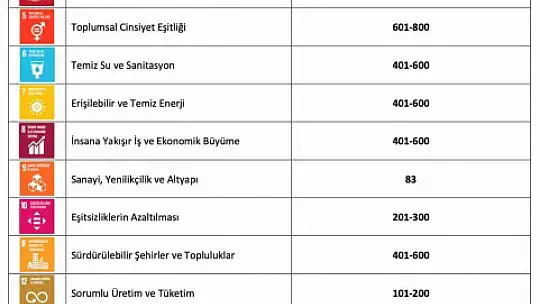 ERÜ'nün The 2025 yılı etki sıralamasındaki başarısı