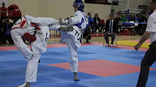 Erva Spor Okulları 2. Valilik Kupası Taekwondo Şampiyonası yapıldı