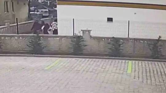 Ev fareleri kameraya yakalandı