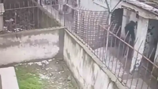 Ev fareleri kameraya yakalandı