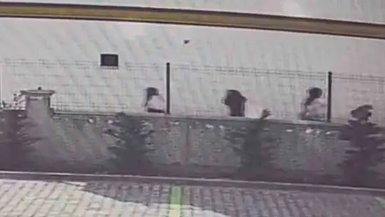 Ev fareleri kameraya yakalandı