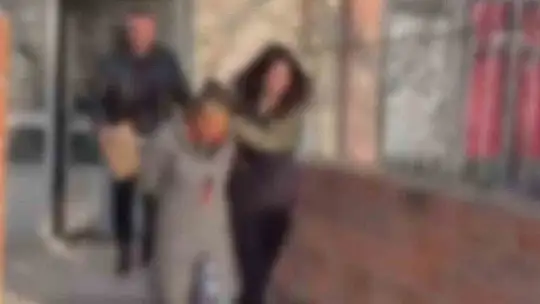 Ev fareleri kameraya yakalandı