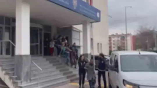 Ev fareleri kameraya yakalandı