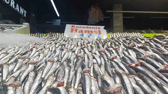 Hava soğudu hamsi geri döndü