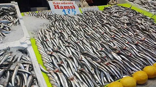Hava soğudu hamsi geri döndü