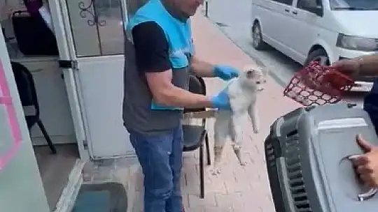 Havalandırma boşluğuna sıkışan kedi kurtarıldı