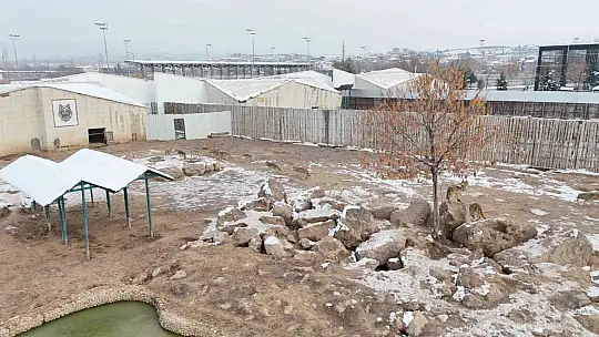 Hayvanat bahçesi misafirlerine kış desteği