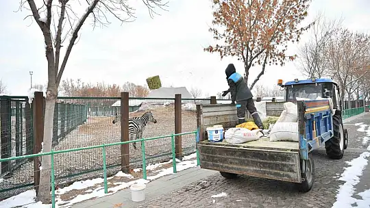 Hayvanat bahçesi misafirlerine kış desteği