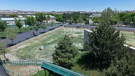 Hayvanat bahçesinde yürüyüş yolları yenilendi