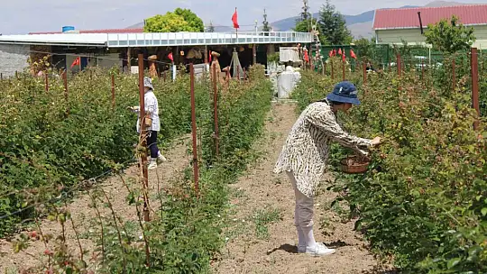 Hobi olarak başladığı işte talebe yetişemiyor