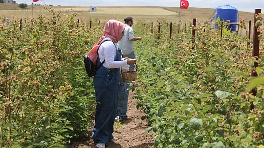 Hobi olarak başladığı işte talebe yetişemiyor