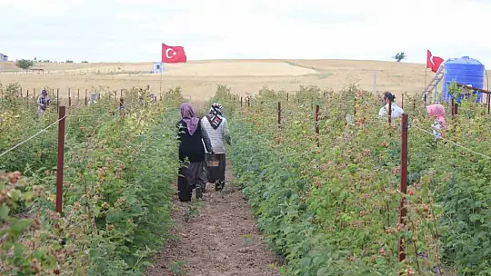 Hobi olarak başladığı işte talebe yetişemiyor