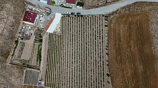 Hobi olarak başladığı işte talebe yetişemiyor