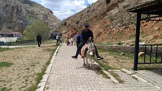Homurlu'da eşek turları başladı