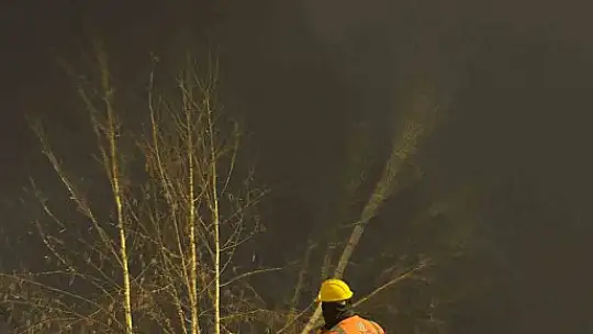 Hürmetçi'de sıcak asfalt, çevre temizliği ve yeşil alan atağı