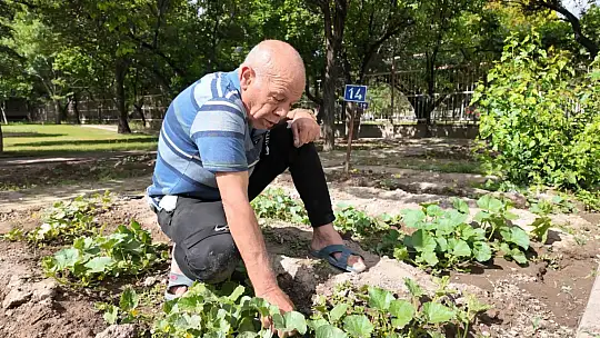 Huzurevi'ndeki yaşlı çınarlar hobi bahçesi ile toprakları yeşertiyor