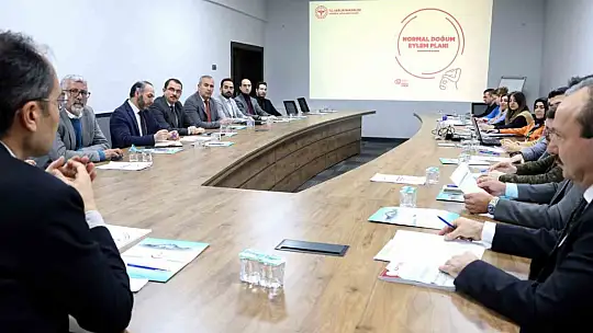 İl Sağlık Müdürü Erşan: 'Mümkün olan her durumda normal doğumu tavsiye ediyoruz'