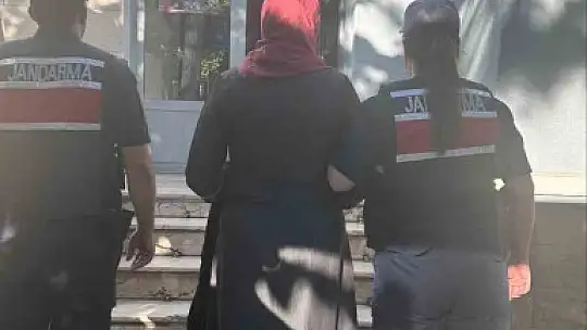 Jandarma'dan FETÖ operasyonu: 1 gözaltı