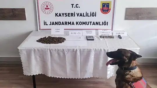 Jandarma Kayseri'de suça geçit vermiyor