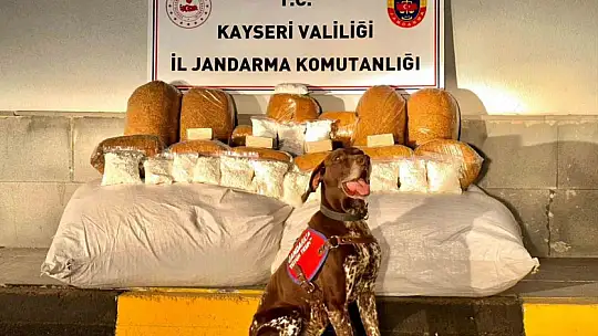 Jandarma Kayseri'de suça geçit vermiyor