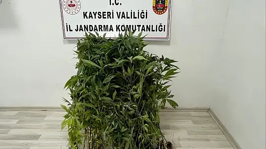 Jandarma Kayseri'de suça geçit vermiyor