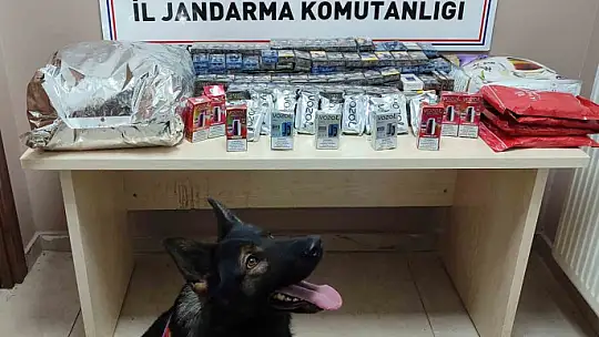 Kaçakçılar jandarmadan kaçamadı