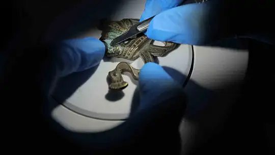 Kadim Kentin tarihi ve kültürel zenginliğine sahip çıkan Büyükşehir, konservayson laboratuvarı kurdu