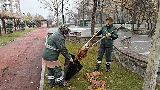 Kadınlar temizlik aşklarını parklara da yansıtıyor