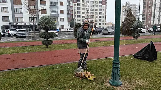 Kadınlar temizlik aşklarını parklara da yansıtıyor